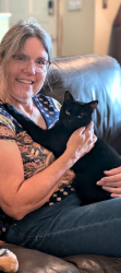 Lost Male Cat last seen Chamberlyne Farms, Chamberlayne, VA 23227