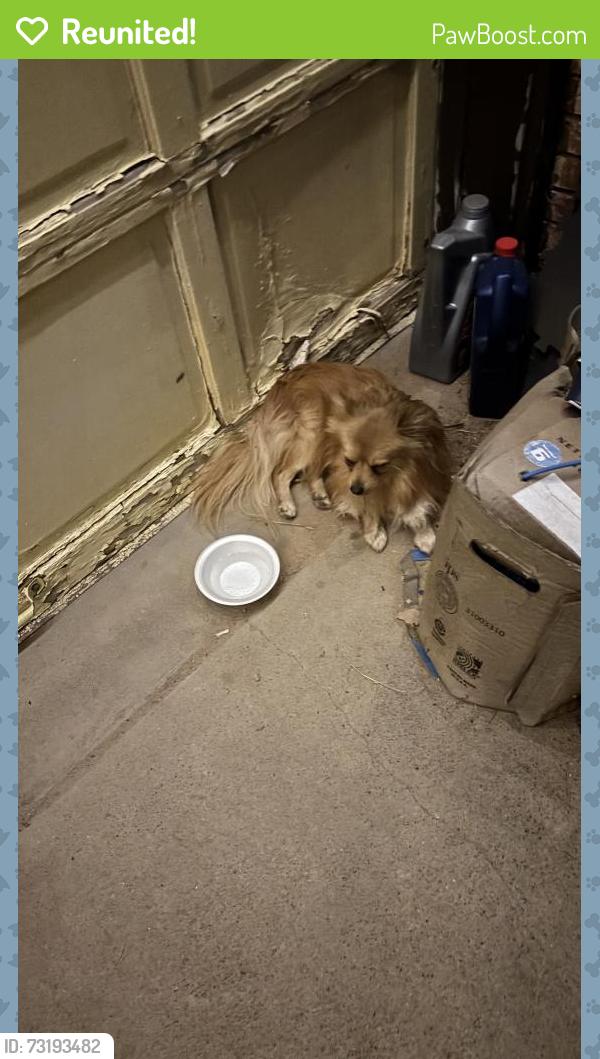 Reunited Unknown Dog last seen Capristrano park, YSLETA SUR, TX 79907