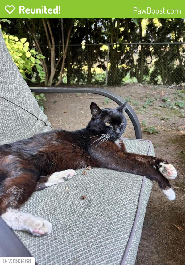 Reunited Unknown Cat last seen NE 13th Ave and NE Mason st, Portland, OR 97212