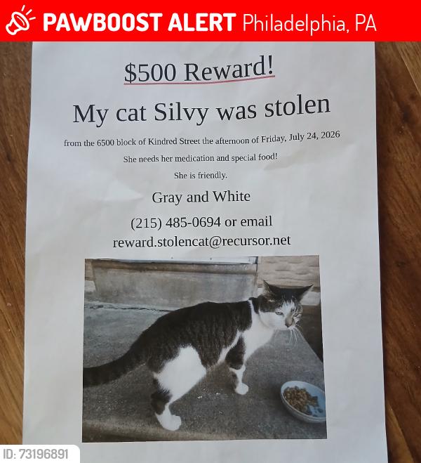 Lost Female Cat last seen Kindred St and Hellerman St, Philadelphia, PA 19149