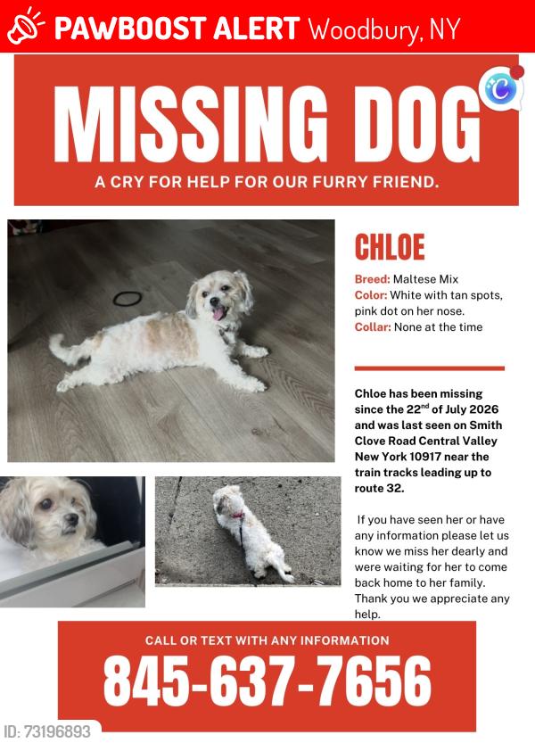 Lost Female Dog last seen Smith clove road Central Valley ny 10917, Woodbury, NY 10917