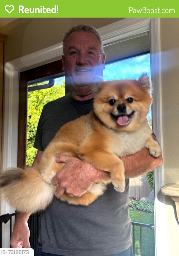 Reunited Male Dog last seen Stanford Ave and Clark Lane, Redondo Beach, CA 90278