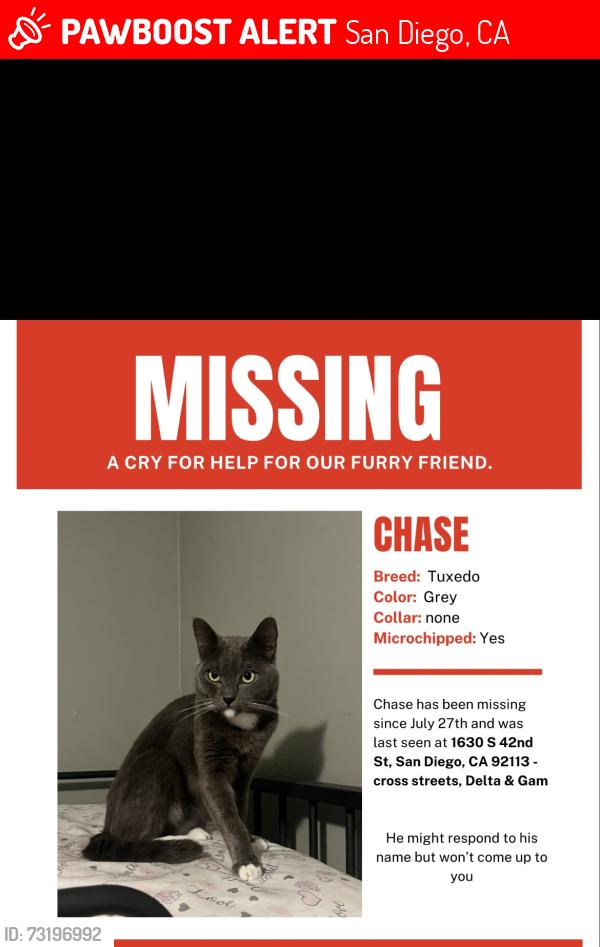Lost Male Cat last seen Delta & gamma, San Diego, CA 92113