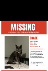 Lost Male Cat last seen Delta & gamma, San Diego, CA 92113