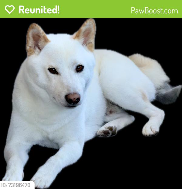 Reunited Male Dog last seen Unknown, Santa Maria, CA 93458