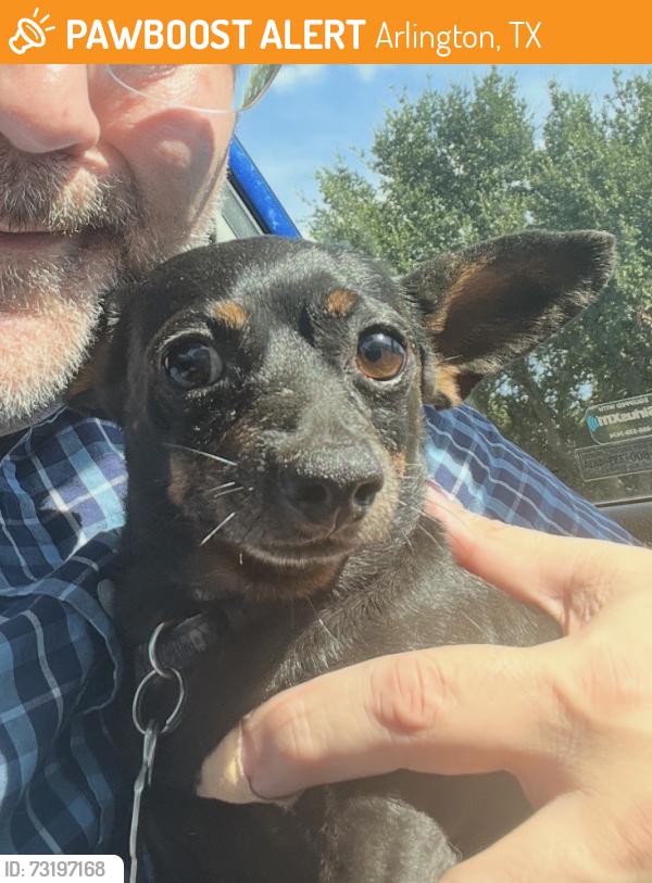Found/Stray Male Dog last seen Division and Bowen, Arlington, TX 76012