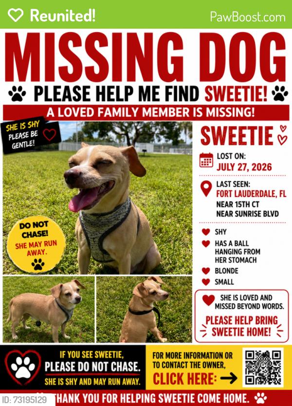 Reunited Female Dog last seen near oswald park, Fort Lauderdale, FL 33316