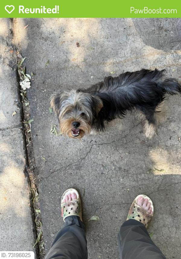 Reunited Male Dog last seen Jennie Lee @ McKim Dr, Dallas, TX 75227