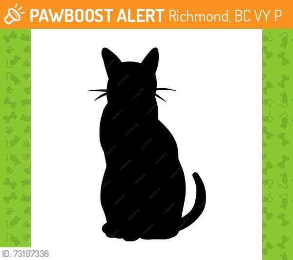 Found/Stray Unknown Cat last seen Granville Ave, Garden City Road, Richmond, BC V6Y 1P8