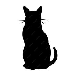 Found/Stray Unknown Cat last seen Granville Ave, Garden City Road, Richmond, BC V6Y 1P8