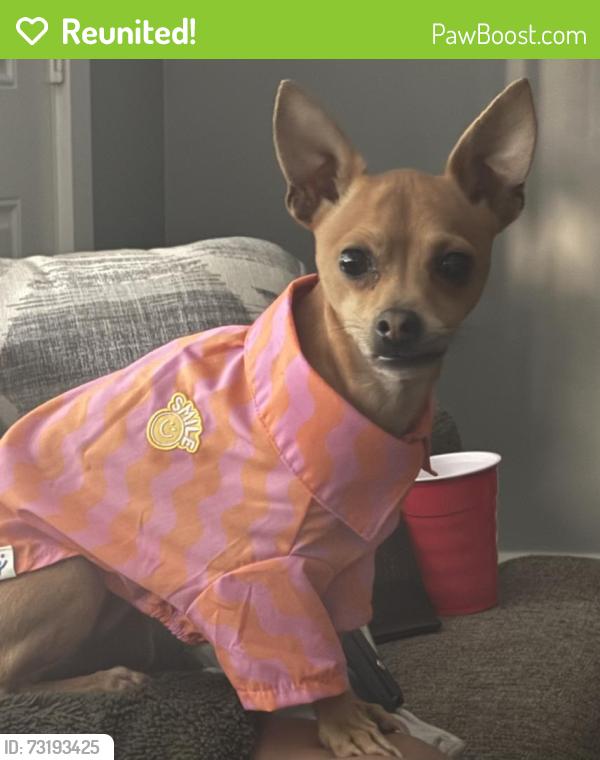 Reunited Male Dog last seen Strickland bridge rd, Fayetteville, NC 28306