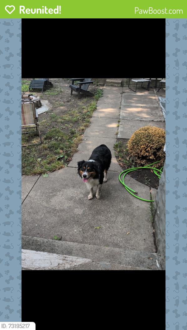 Reunited Male Dog last seen Leonard and broadway, Grand Rapids, MI 49504