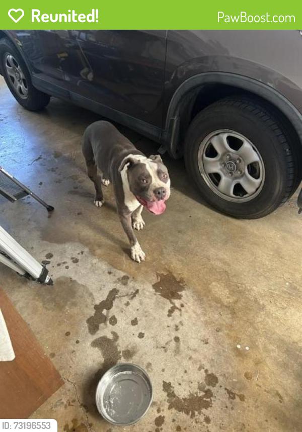 Reunited Male Dog last seen McAllister & La Loma, Riverside, CA 92503
