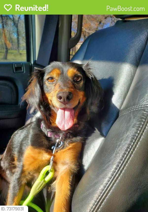 Reunited Female Dog last seen Wood Valley and Fleetwood, Adkins, TX 78101