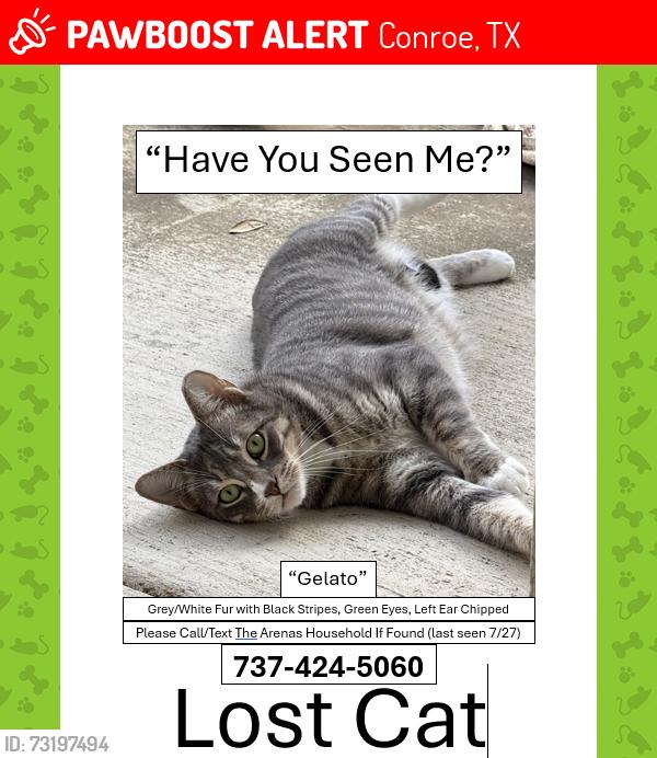 Lost Male Cat last seen Ladera creek Trace, Conroe, TX 77301