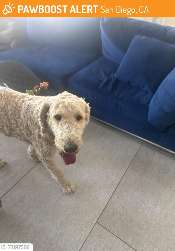 Found/Stray Male Dog last seen Near Torrey hills dog park, San Diego, CA 92130
