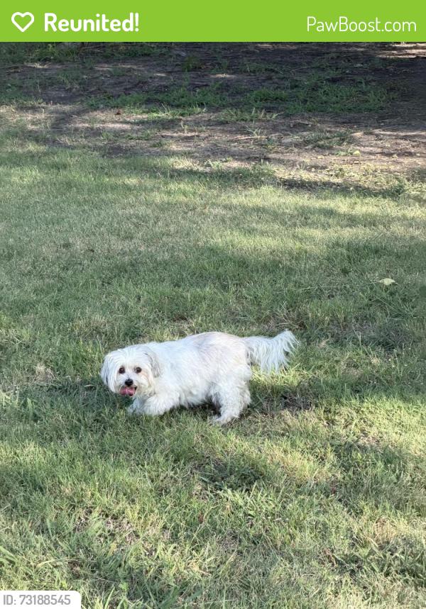 Reunited Female Dog last seen Timmaron aTrl, Fort Worth, TX 76140