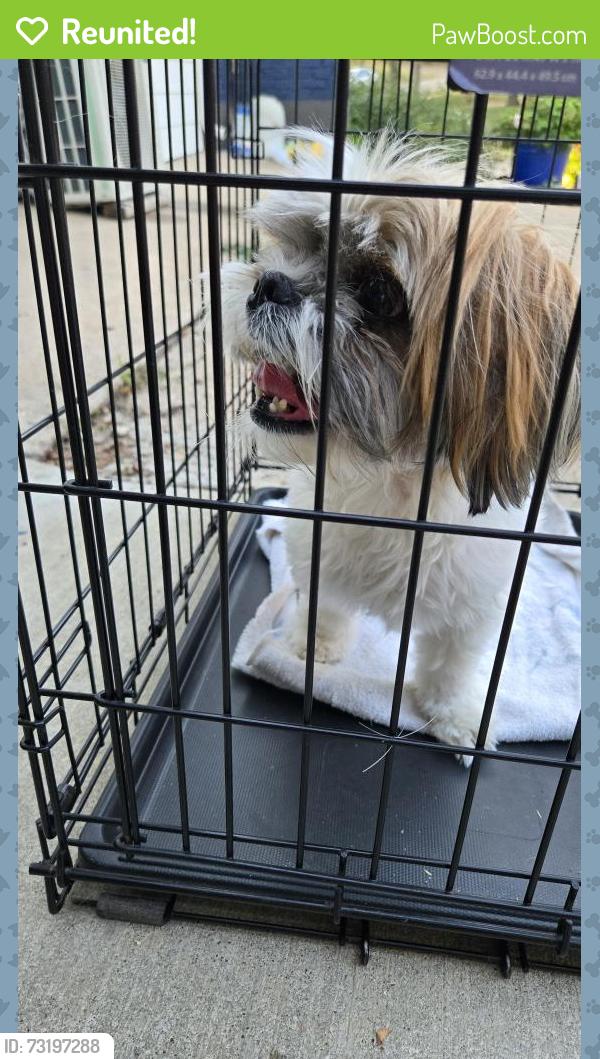 Reunited Unknown Dog last seen Myrtlewood dr, Dallas, TX 75232