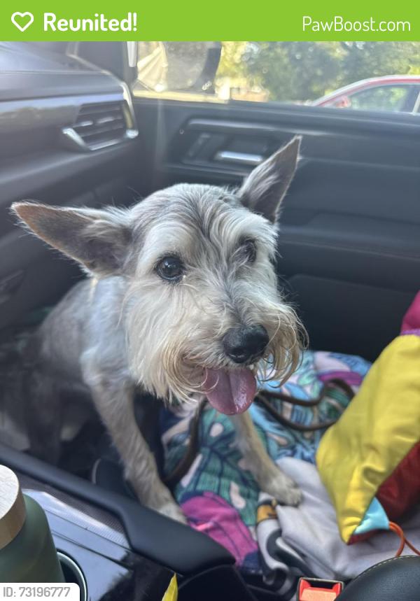 Reunited Male Dog last seen N Bailey Ave and Eastwood, Fort Worth, TX 76107