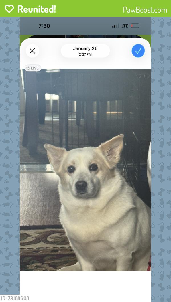 Reunited Female Dog last seen Harbor park, Erie, PA 16510