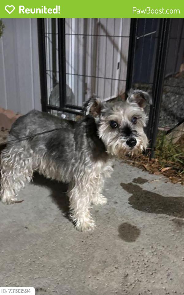 Reunited Unknown Dog last seen Walnut, CA, USA, Walnut, CA 91789