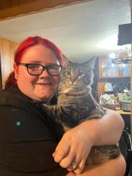 Reunited Male Cat last seen Near E New hope Rd, Rogers, AR 72758