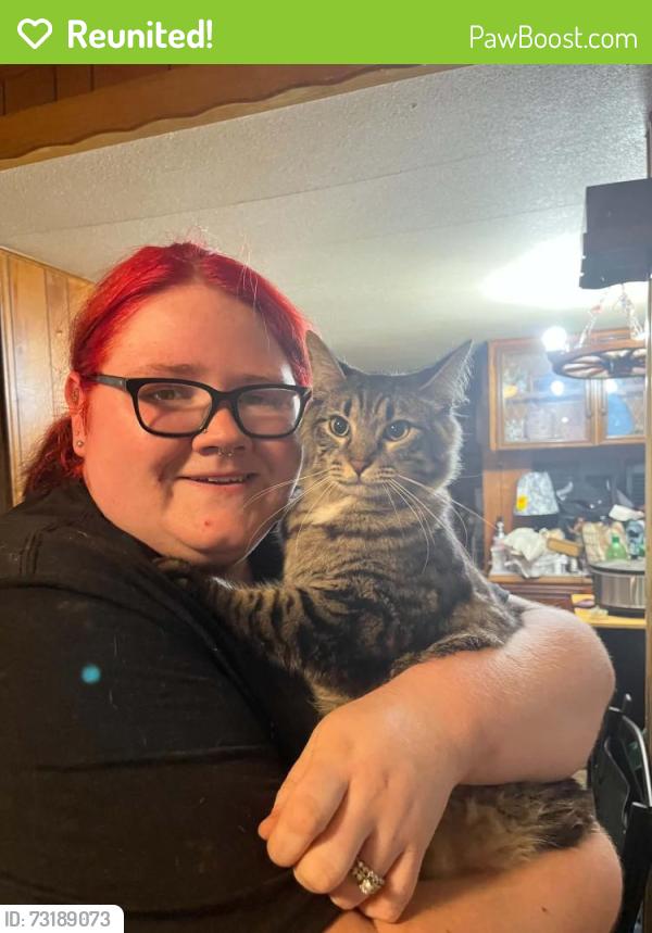 Reunited Male Cat last seen Near E New hope Rd, Rogers, AR 72758