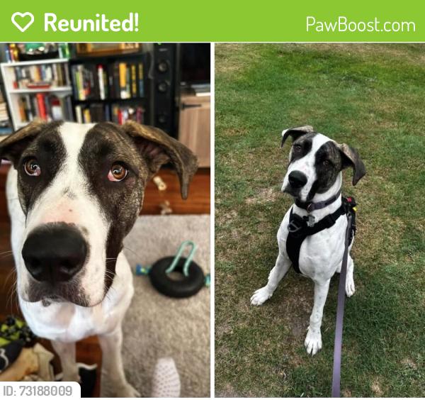 Reunited Female Dog last seen Southern Pines Reservoir, Southern Pines, NC 28387