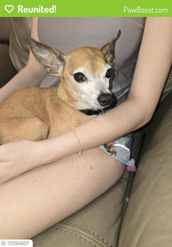 Reunited Male Dog last seen Still oaks drive and OAK DR e, Trussville, AL 35173
