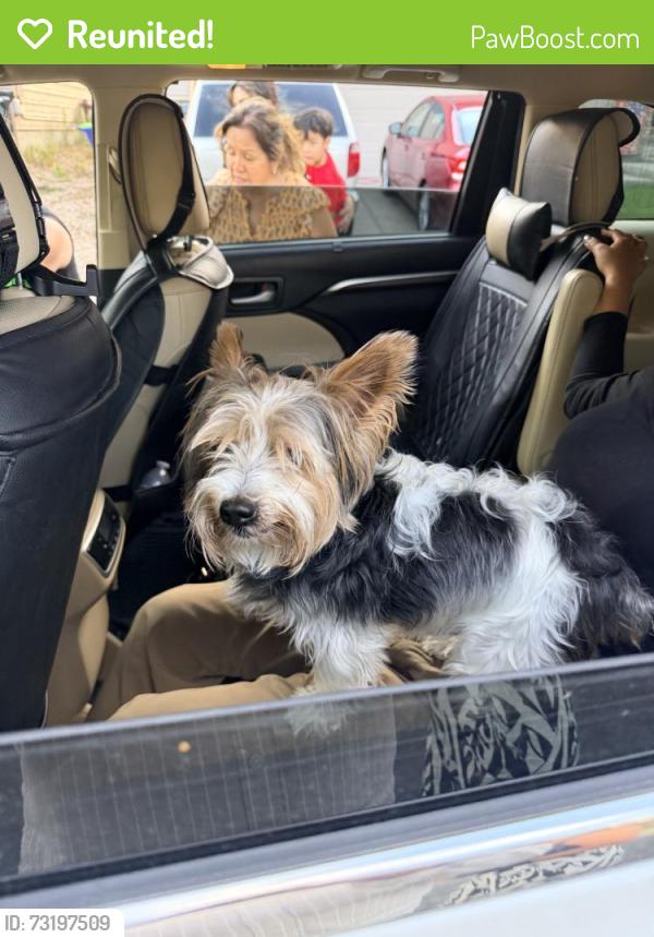 Reunited Male Dog last seen 102nd Ave, Greeley, CO 80634, USA, Greeley, CO 80634