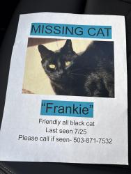 Lost Female Cat last seen Riverdale Rd S, Salem, OR 97302