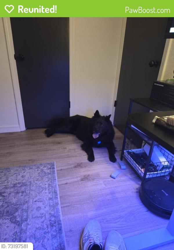 Reunited Male Dog last seen 91st and Aspen, Broken Arrow, OK 74012