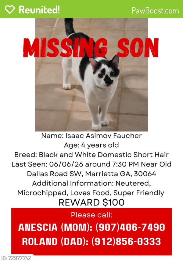 Reunited Male Cat last seen Near old dallas rd sw marrietta ga 30064, Marietta, GA 30064