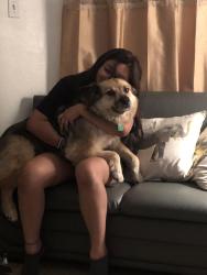 Lost Male Dog last seen Cotillion & Drummond, Dallas, TX 75228