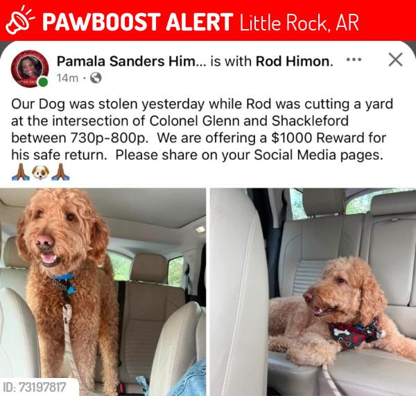 Lost Male Dog last seen Shackelford & Colonel Glenn, Little Rock, AR 72204