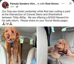 Lost Male Dog last seen Shackelford & Colonel Glenn, Little Rock, AR 72204