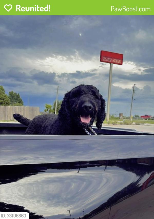 Reunited Male Dog last seen W North St, Lincoln, AR 72744