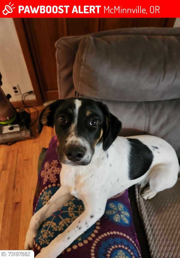 Lost Male Dog last seen Newby, Oak Way, McMinnville, OR 97128