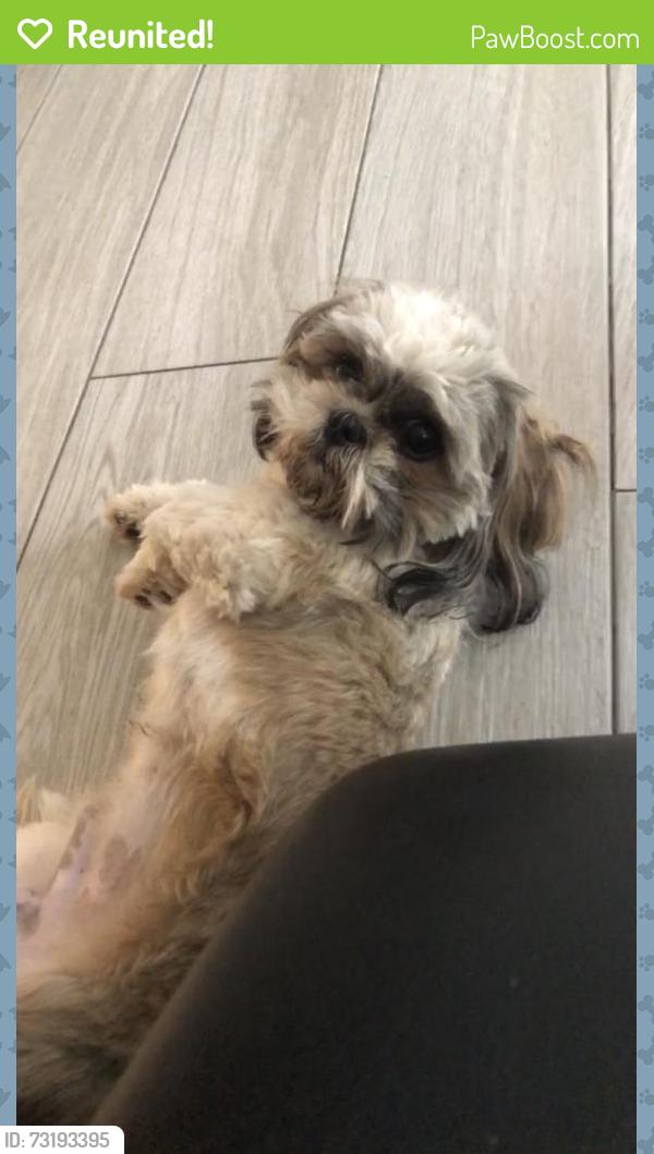 Reunited Male Dog last seen Joe Battle and Edgemere, El Paso, TX 79936