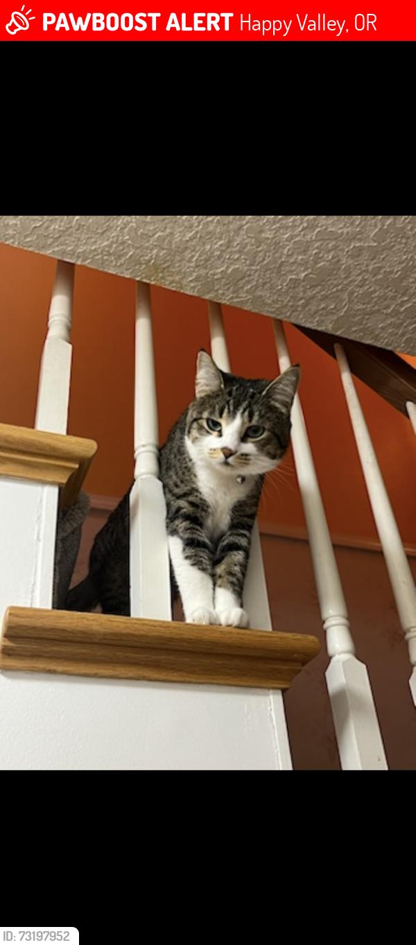Lost Female Cat last seen Happy valley- Valley View Terr, Happy Valley, OR 97086