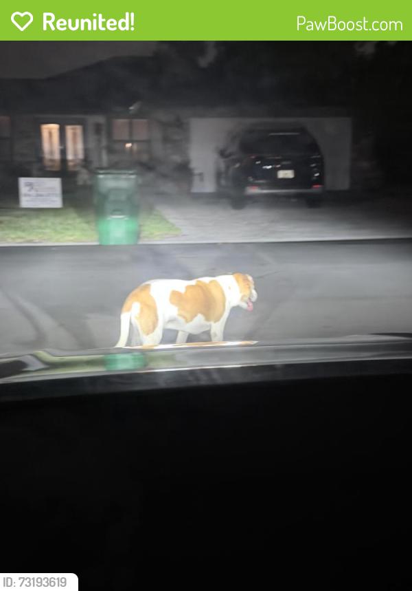 Reunited Unknown Dog last seen NW 113th Terrace, Coral Springs, FL, USA, Coral Springs, FL 33076