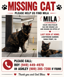 Lost Female Cat last seen Lighthouse community garden, Dana Point, CA 92624