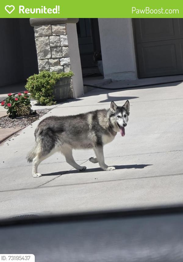 Reunited Unknown Dog last seen De La Rosa, El Paso, TX 79928
