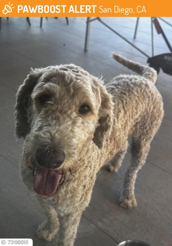 Found/Stray Male Dog last seen At a park in torrey hills, San Diego, CA 92130