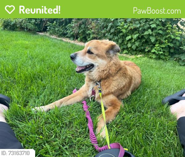 Reunited Male Dog last seen Kiniski, Kulawy Lake, Millcreek Ravine, Edmonton, AB T6L 6V1