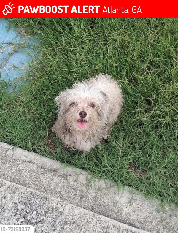 Lost Female Dog last seen Grey Fox Way Atlanta 30349, Atlanta, GA 30349