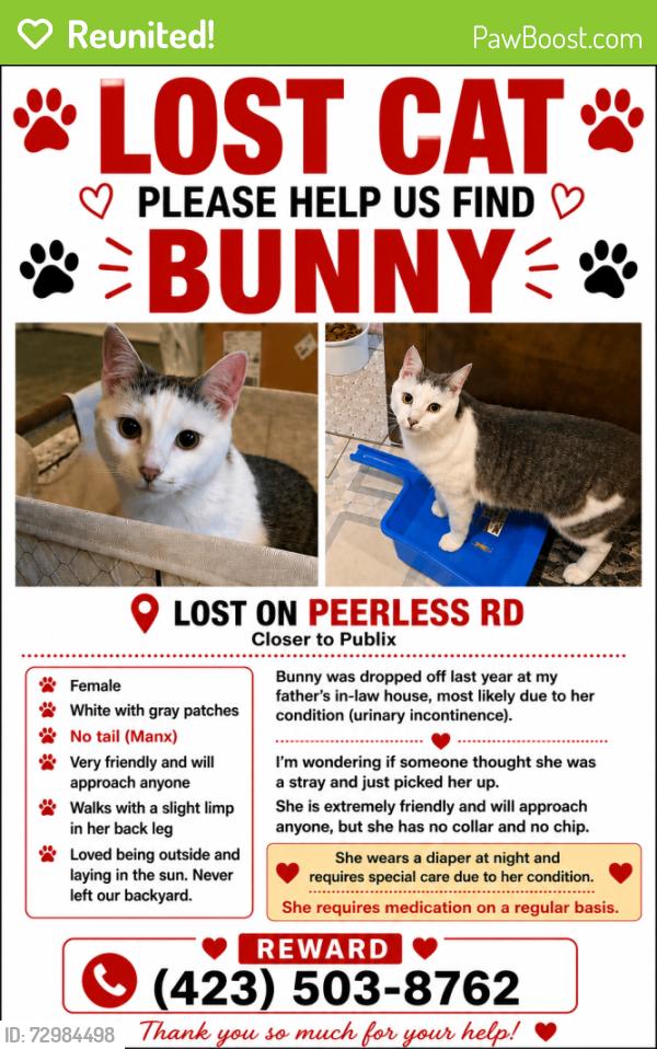 Reunited Female Cat last seen Peerless Rd NW closer to Publix, Cleveland, TN 37312