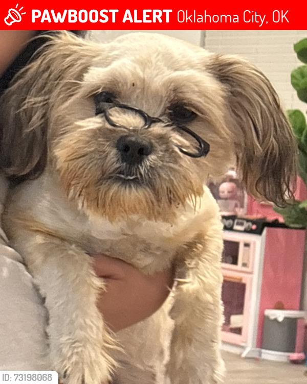 Lost Male Dog last seen SW 44th between Penn & May near Agnew Ave, Oklahoma City, OK 73119