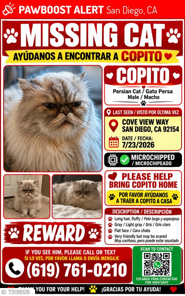 Lost Male Cat last seen Sea reef drive, San Diego, CA 92154