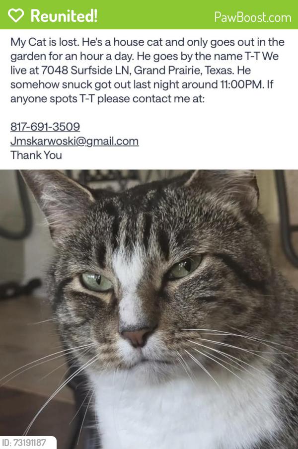 Reunited Male Cat last seen Surfside ln, Grand Prairie, TX 75054